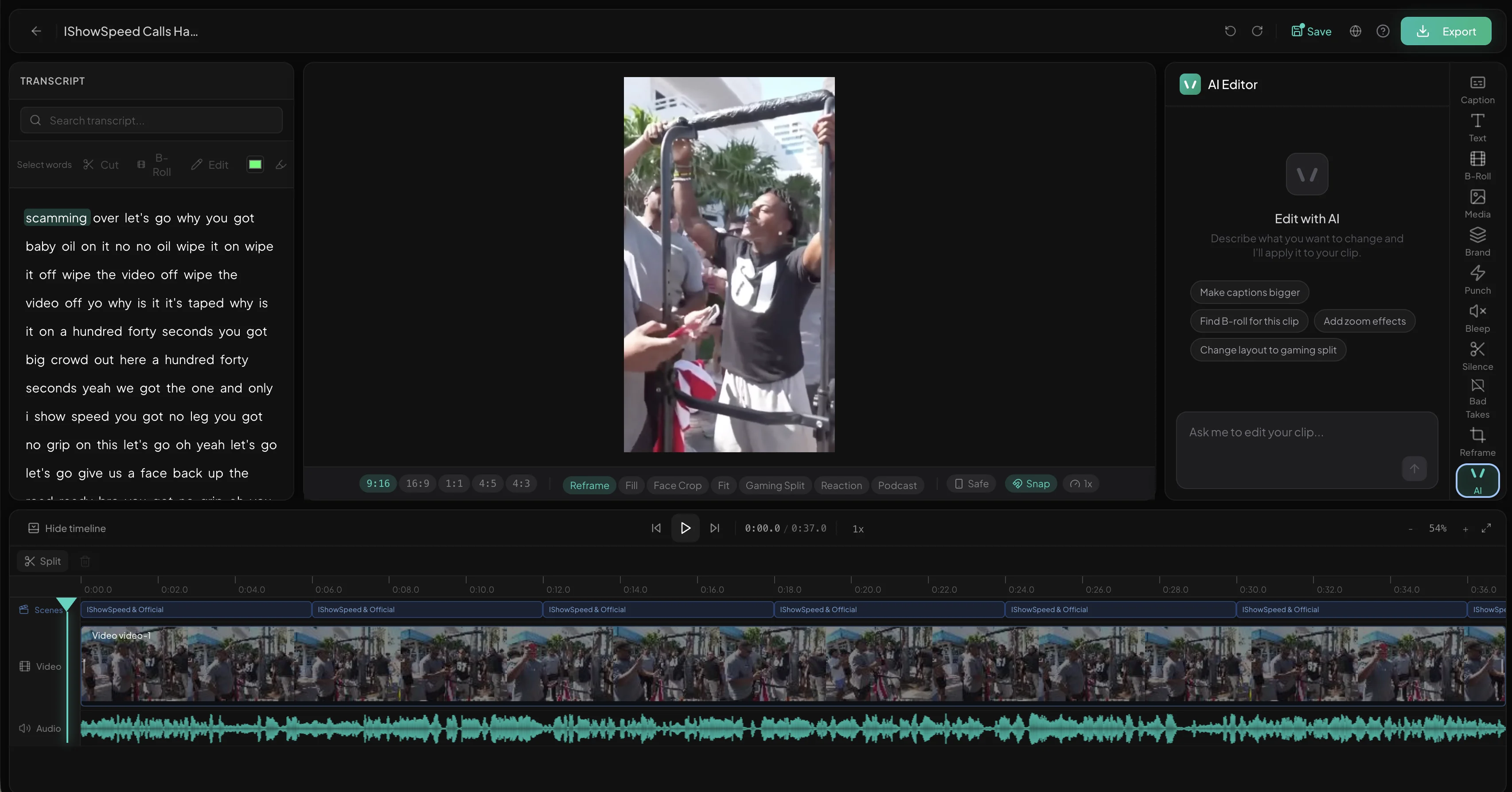 Artae editor showing video captions and timeline controls